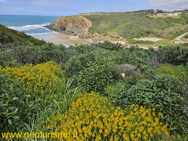 Alentejo escursioni e fioriture